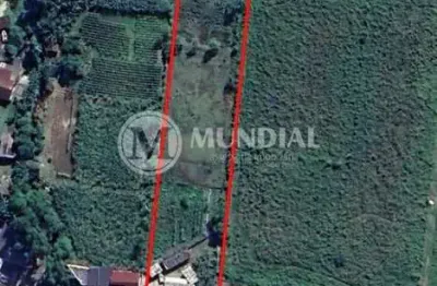 Terreno comercial à venda na Avenida Rio Amazonas, 824, Rio Pequeno, Camboriú