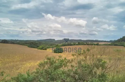 Terreno à venda, 158769 m² por r$ 18.661.394,00 - centro - mandirituba/pr
