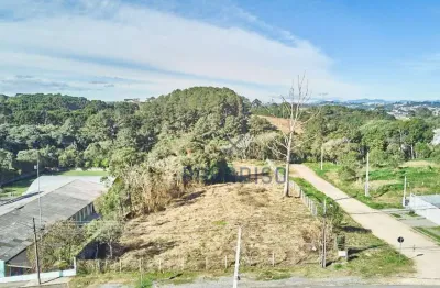 Terreno à venda, 4920 m² por r$ 5.000.000 - santa felicidade - curitiba/pr