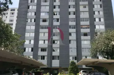 Apartamento 2 quartos para venda em são bernardo do campo, parque terra nova, 2 dormitórios, 1 suíte, 2 banheiros, 1 vaga