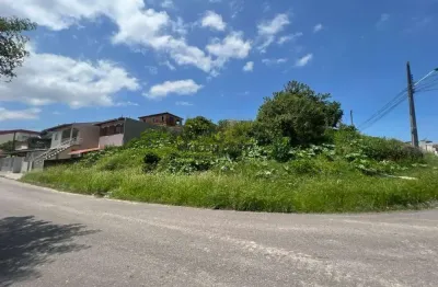 Terreno à venda na Rua José Ângelo Petit, Bom Viver, Biguaçu