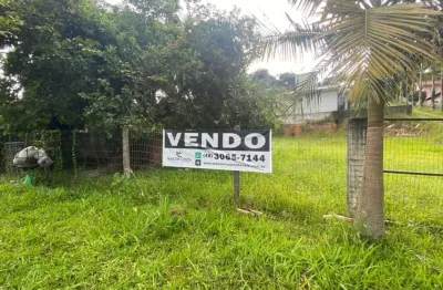 Terreno à venda na Rodovia BR-101, São Miguel (Guaporanga), Biguaçu