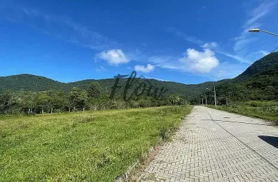 Terreno à venda na Rodovia Baldicero Filomeno, Ribeirão da Ilha, Florianópolis