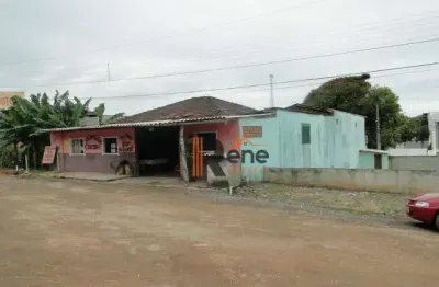 Terreno 300 m², avenida santa catarina em camboriú.
