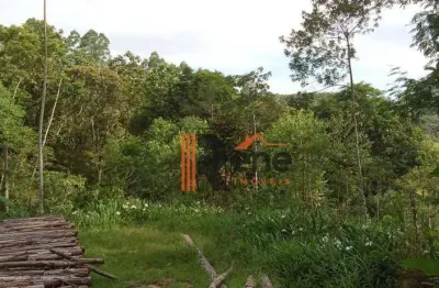 Sítio à venda, 15000 m² por r$ 370.000,00 - caetés - camboriú/sc