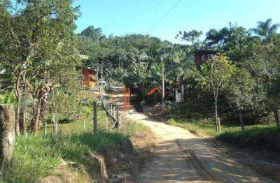 Terreno à venda, 1500 m² por r$ 198.000,00 - braço - camboriú/sc