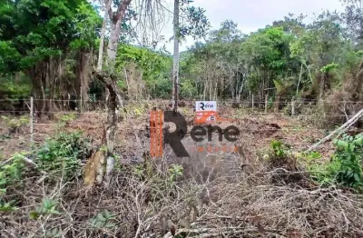 Terreno de 375m² à venda na praia do ervino, são francisco do sul!