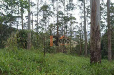 Terreno à venda no Caetes, Camboriú 