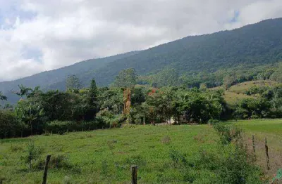 Chácara / sítio com 4 quartos à venda no Macacos, Camboriú 