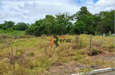 Terreno à venda no Santa Regina, Camboriú 