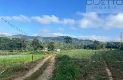 Terreno à venda no Palmeiras de São Paulo, Suzano 
