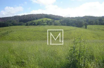 Terreno à venda, 194153 m² por R$ 11.650.000,00 - Parque Santa Rosa - Suzano/SP