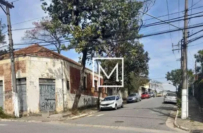 Terreno à venda, 1040 m² por R$ 2.998.000,00 - Vila Brasílio Machado - São Paulo/SP