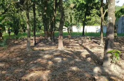 Terreno à venda na dos pinheiros, casa verde, monte mor por r$ 185.000