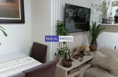 Apartamento com 2 quartos à venda na rua jovina, 368, vila mascote, são paulo, 65 m2 por r$ 638.300