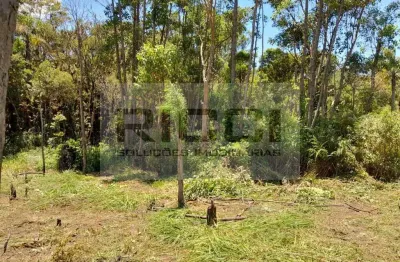 Terreno à venda, 7500 m² - biritiba ussu - mogi das cruzes/sp