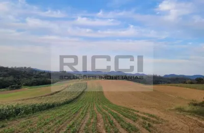 Terreno à venda na Rodovia Dom Paulo Rolim Loureiro, Vila Moraes, Mogi das Cruzes