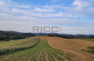 Terreno à venda na Rodovia Paulo Rolin Loureiro, Vila Moraes, Mogi das Cruzes