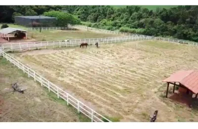 Fazenda à venda na Zona Rural, Taquaritinga 