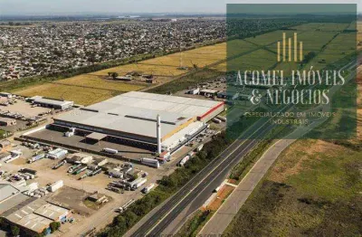 Barracão / Galpão / Depósito para alugar no São Luis, Canoas 