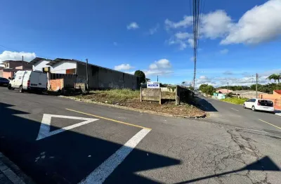 Terreno à venda na Rua Thomaz Gonzaga, s/n, Nova Rússia, Ponta Grossa