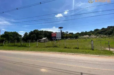 Área à venda, 22621 m² por r$ 7.900.000,00 - cidade industrial - curitiba/pr