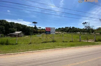 Terreno à venda, 11900 m² por r$ 5.950.000,00 - cidade industrial - curitiba/pr