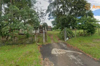 Chácara / sítio com 3 quartos à venda na Rua Francisco Galarda, 1587, Thomaz Coelho, Araucária