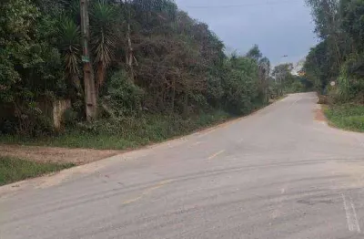 Chácara / sítio com 3 quartos à venda na Rua Francisco Galarda, 1587, Thomaz Coelho, Araucária