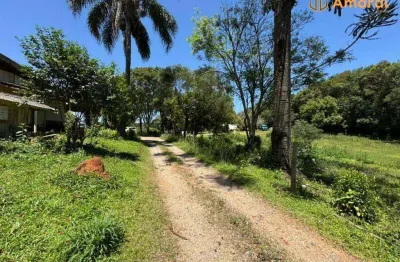 Chácara / sítio com 3 quartos à venda na Rua Francisco Galarda, 1587, Thomaz Coelho, Araucária