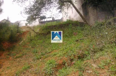 Terreno para venda no bairro vila oliveira, localizado na cidade de mogi das cruzes / sp.