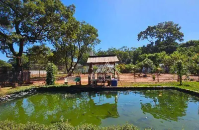 Chácara com 3 dormitórios à venda, 5000 m² por r$ 1.600.000,00 - itanhangá chácaras de recreio - ribeirão preto/sp