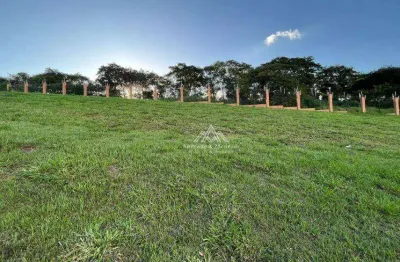 Terreno à venda, 491 m² por r$ 605.000 - alphaville iii - ribeirão preto/sp