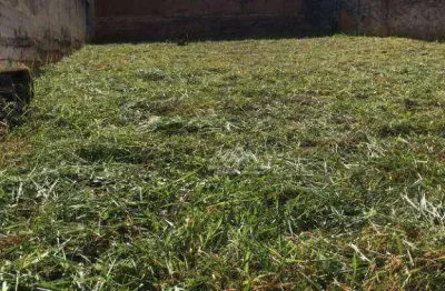 Terreno à venda, 250 m² por r$ 265.000,00 - jardim macedo - ribeirão preto/sp