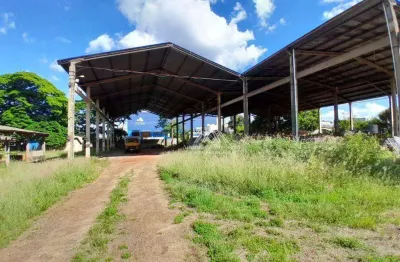 Terreno para alugar, 500 m² por r$ 8.000,00/mês - parque industrial lagoinha - ribeirão preto/sp