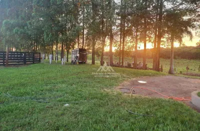 Imóvel rural, com 4 dormitórios à venda, 121000 m² por r$ 3.800.000 - zona rural - miguelópolis/sp