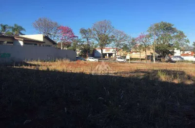 Terreno para alugar, 556 m² por r$ 6.000,00/mês - alto da boa vista - ribeirão preto/sp
