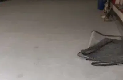 Salão para alugar, 196 m² por r$ 4.400/mês - campos elíseos - ribeirão preto/sp