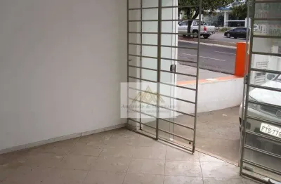 Salão para alugar, 204 m² por r$ 4.900,00/ano - vila seixas - ribeirão preto/sp
