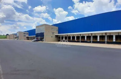 Galpão para alugar, 1495 m² por r$r$ 51.960,19 /mês - vila elisa - ribeirão preto/sp
