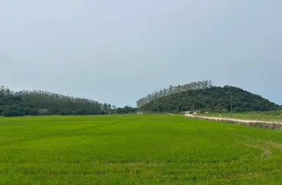 Terreno à venda em jaraguá do sul, 297.000,00m² àrea total - poço grande