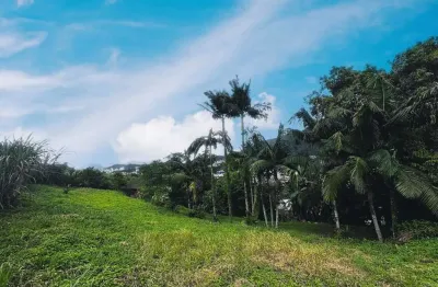 Terreno à venda no Ilha da Figueira, Jaraguá do Sul 