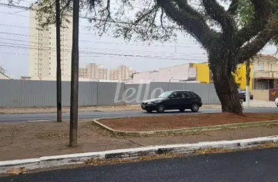 Terreno comercial para alugar na avenida paes de barros, --, mooca, são paulo, 1050 m2 por r$ 150.000