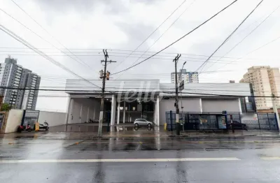 Barracão / galpão / depósito para alugar na avenida amador bueno da veiga, --, penha de frança, são paulo, 1740 m2 por r$ 125.000