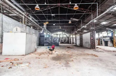 Barracão / galpão / depósito para alugar na rua sargento noel de camargo, --, jardim imperador (zona leste), são paulo, 2500 m2 por r$ 50.000