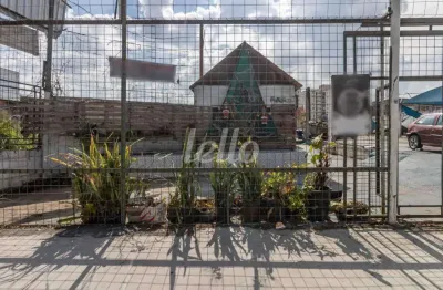 Terreno comercial para alugar na avenida júlio buono, --, vila constança, são paulo, 368 m2 por r$ 25.000