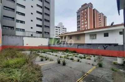 Terreno comercial para alugar na avenida nova cantareira, --, tucuruvi, são paulo, 350 m2 por r$ 3.700