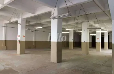 Barracão / galpão / depósito para alugar na rua zanzibar, --, casa verde, são paulo, 2440 m2 por r$ 50.000