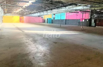 Barracão / galpão / depósito para alugar na rua major paladino, --, vila ribeiro de barros, são paulo, 6219 m2 por r$ 120.000