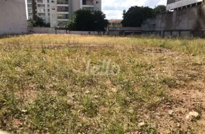Terreno comercial para alugar na rua clélia, --, água branca, são paulo, 1625 m2 por r$ 50.000